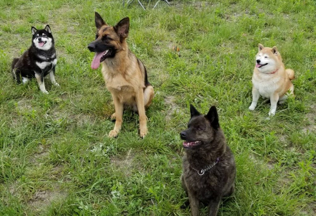 みんなで「おやつ」待ち~♪