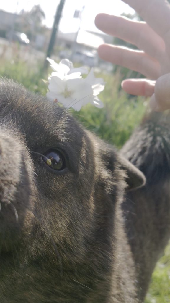 お目目クリクリ