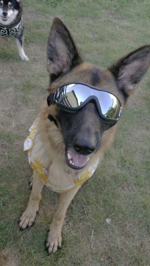 ゴーグル似合うかなぁ~!?